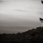 high contrast black and white image of the side of the North slope of Mt. Nebo taken by Little Rock Arkansas Queer Photographer Gynger