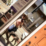Trans woman and queer photographer Gynger St Claire takes a selfie while walking her Great Dane mix Hambone the Dog
